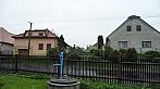 Třibřichy